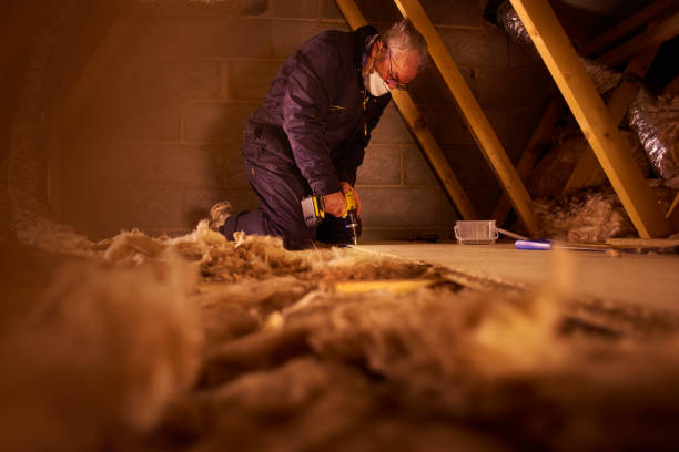 Best Insulation Installation Services in Forest Hills, MI