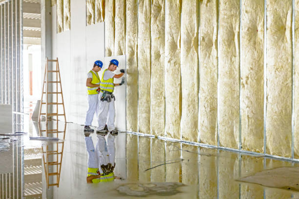 Best Energy Efficiency Solutions in Forest Hills, MI